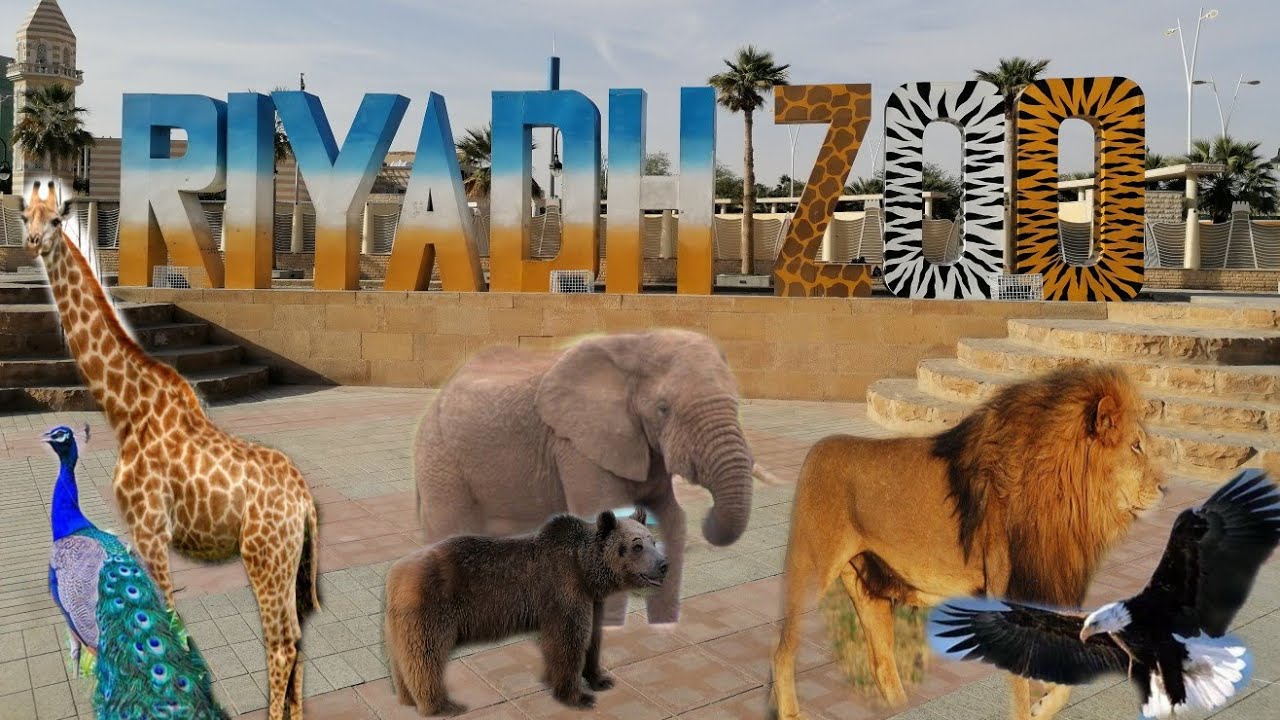 أسعار التذاكر وساعات العمل للعائلات والأفراد في حديقة حيوان الرياض